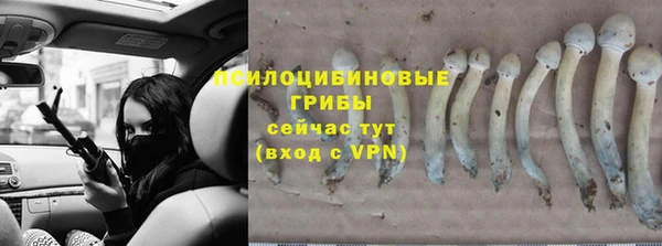 молекула духа Бронницы