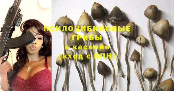 jwh Бородино