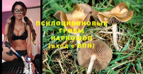 молекула духа Бронницы