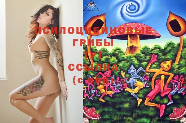 jwh Бородино