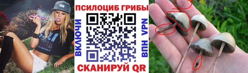Галлюциногенные грибы GOLDEN TEACHER Игра